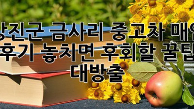 🚗 강진군 금사리 중고차 매입 후기! 놓치면 후회할 꿀팁 대방출 🍯
