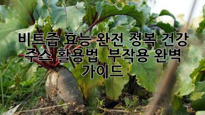 💖 비트즙 효능 완전 정복! 건강 주스 활용법 & 부작용 완벽 가이드 🫘