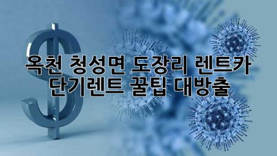 옥천 청성면 도장리 렌트카 단기렌트 꿀팁 대방출! 🎉