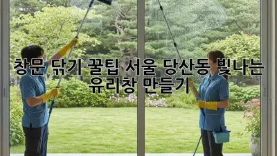 창문 닦기 꿀팁: 서울 당산동 빛나는 유리창 만들기